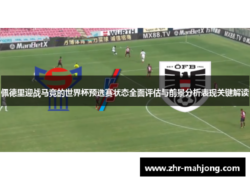 佩德里迎战马竞的世界杯预选赛状态全面评估与前景分析表现关键解读 佩德里迎战马竞的世界杯预选赛状态全面评估与前景分析表现关键解读